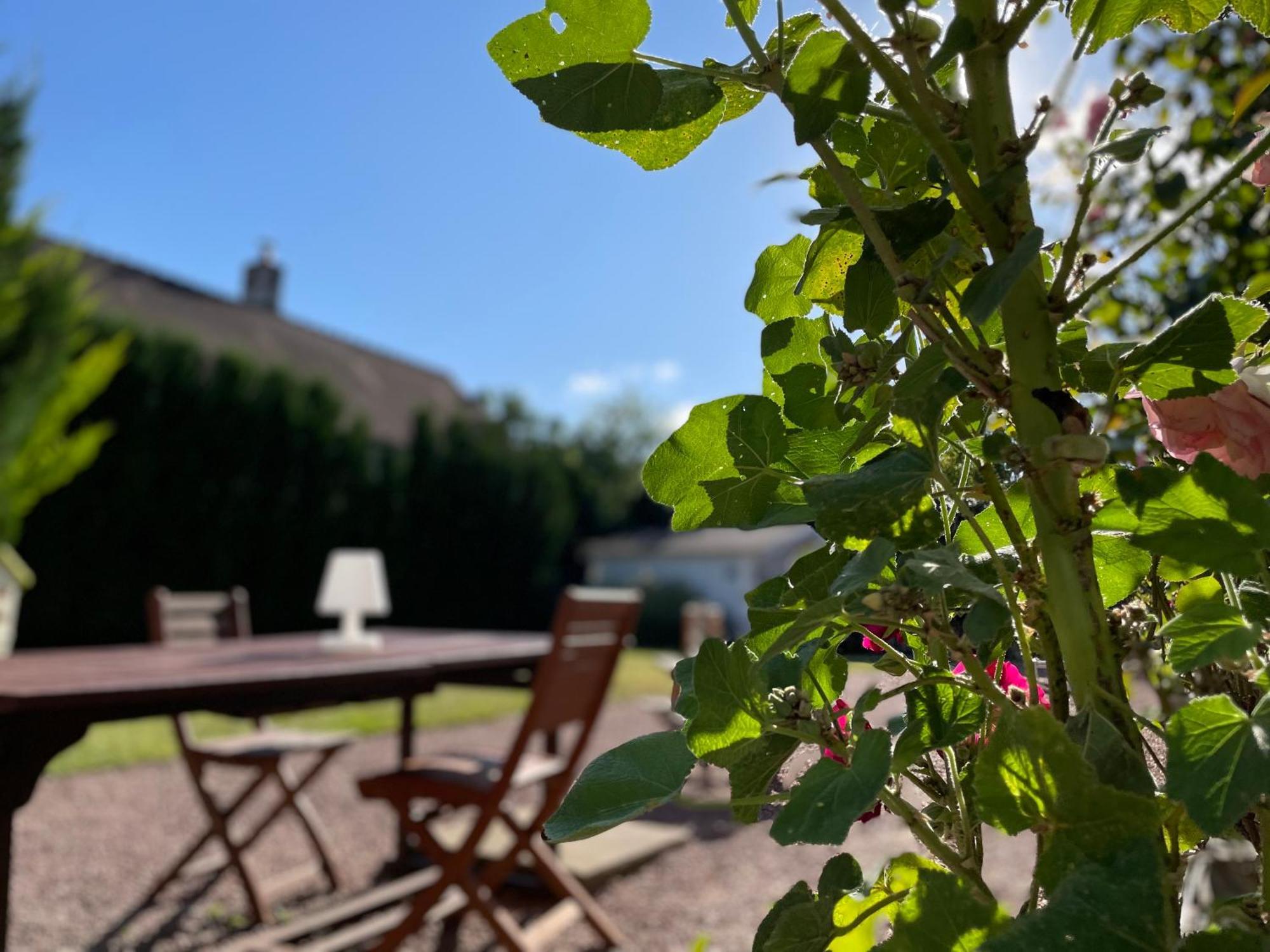 Bed and Breakfast La Fedrie La Croix-en-Touraine Esterno foto